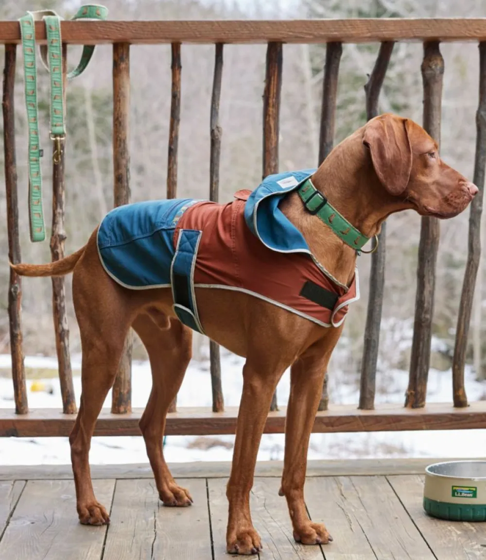 "Mountain Classic Dog Anorak, Colorblock"-L.L.Bean Best Sale