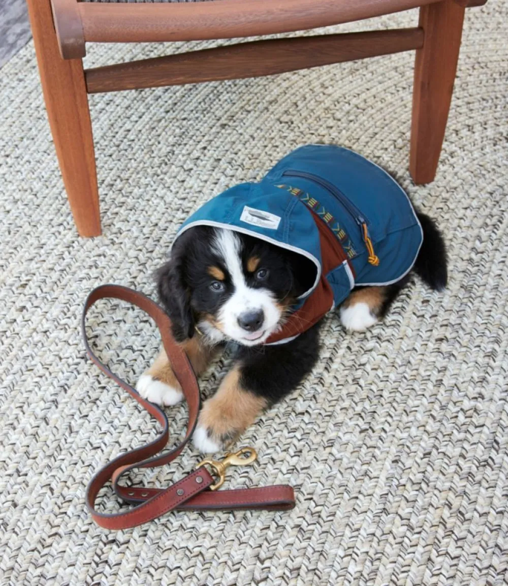 "Mountain Classic Dog Anorak, Colorblock"-L.L.Bean Best Sale