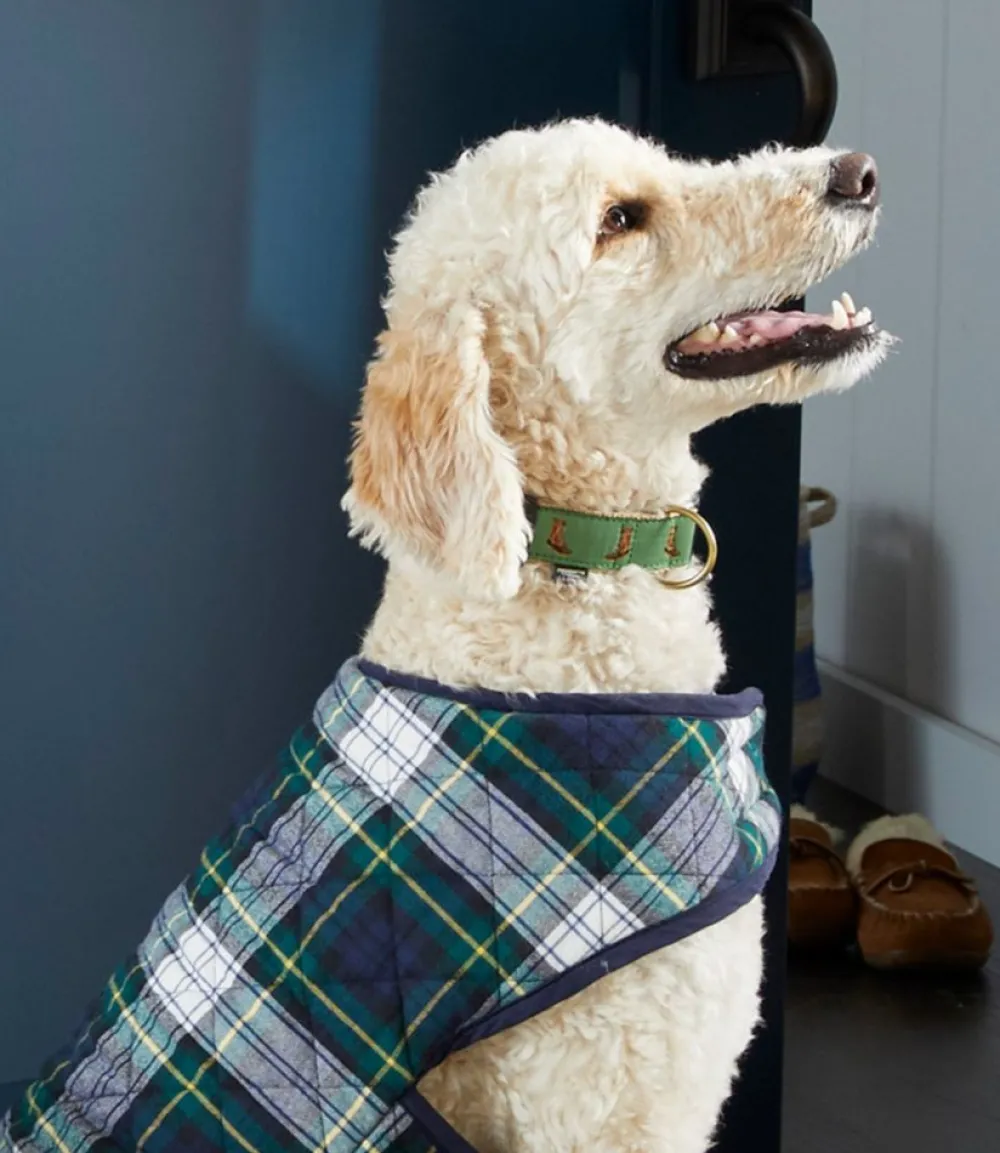 "Novelty Dog Collar"-L.L.Bean Shop